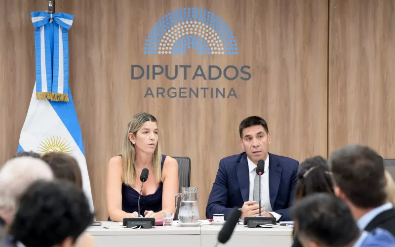 Subsidios al gas: avanza el recorte de Zona Fr&iacute;a