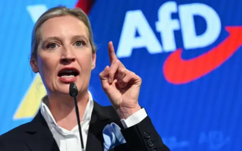 Por qu&eacute; crece Alternativa para Alemania en el nuevo escenario europeo