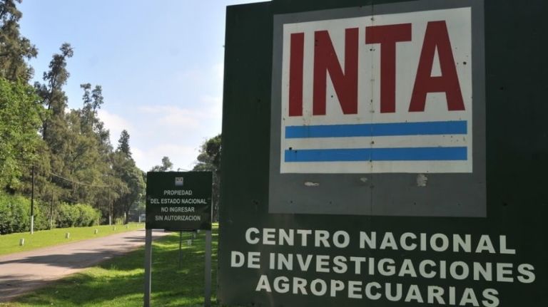 Renunció el presidente del INTA: Juan Cruz Molina Hafford deja su cargo